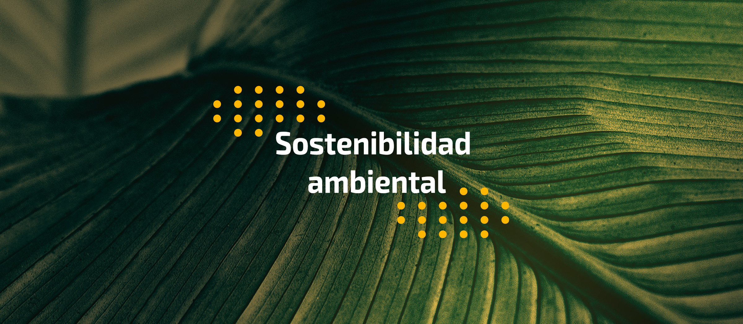 Sostenibilidad ambiental con Cloudera